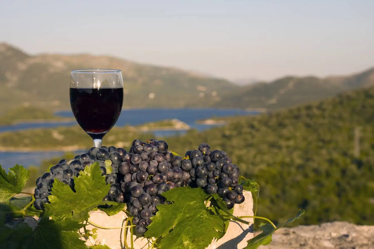 Onderwaterwijngaard Edivo Vina in Kroatië