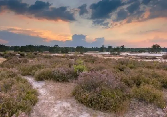 Landschap-van-der-valk