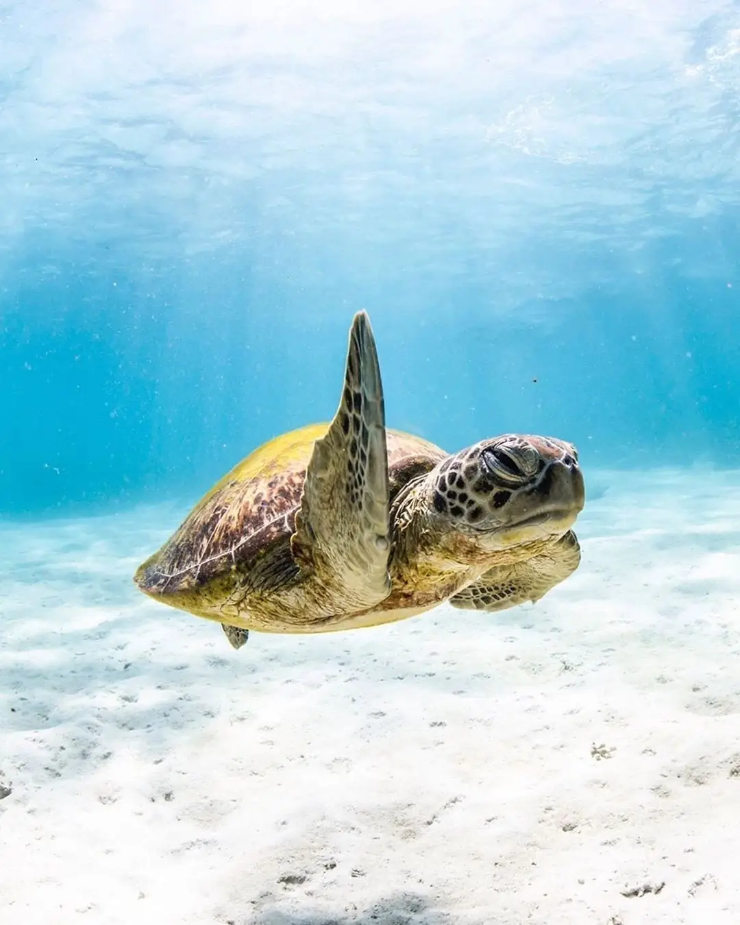 Bonaire-4