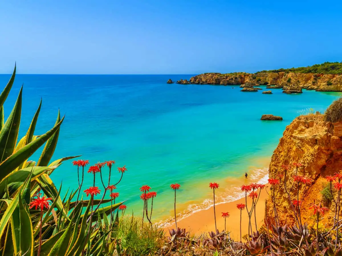 Algarve-Holiday-Nieuwsbrief1