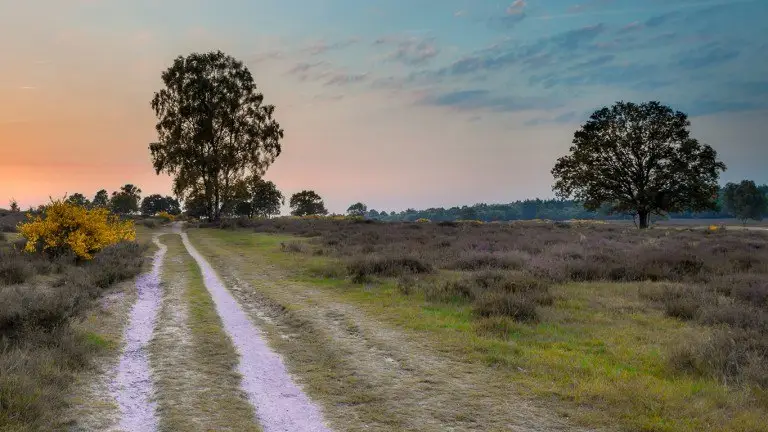 Zeist-4-Voordeeluitjes.nl_