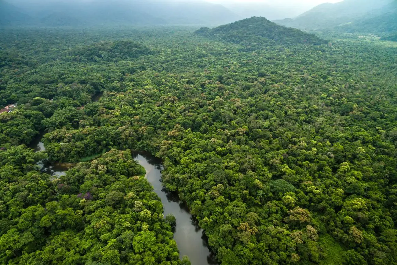 Suriname-Shutterstock-2-goed