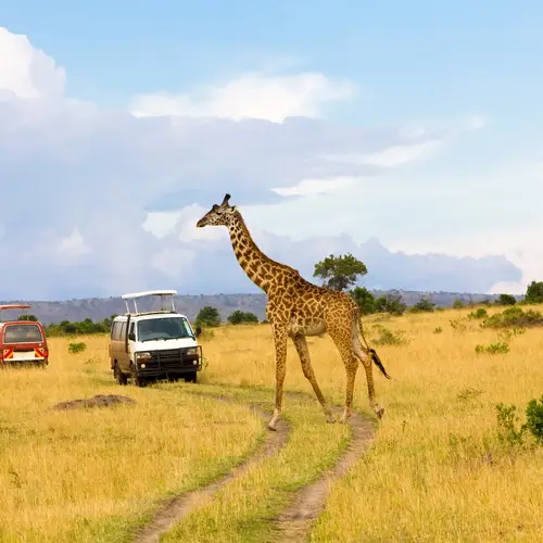 Vakantie Kenia