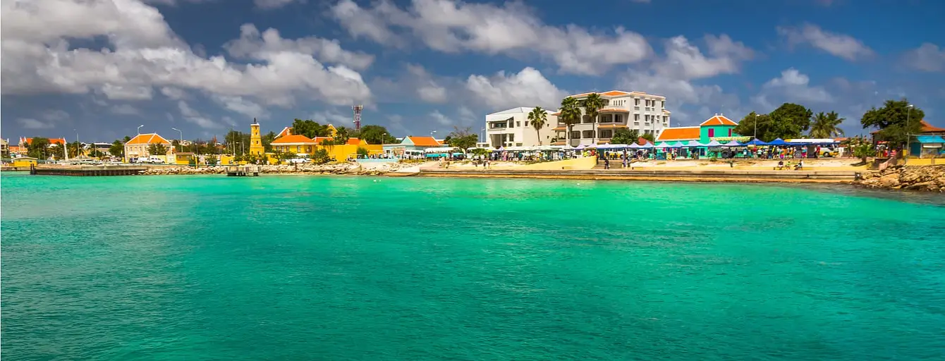Bonaure-Shutterstock-header1