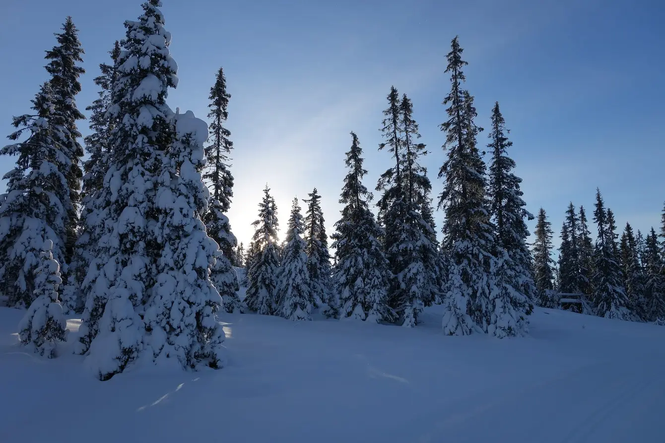 Snow-612802_1920