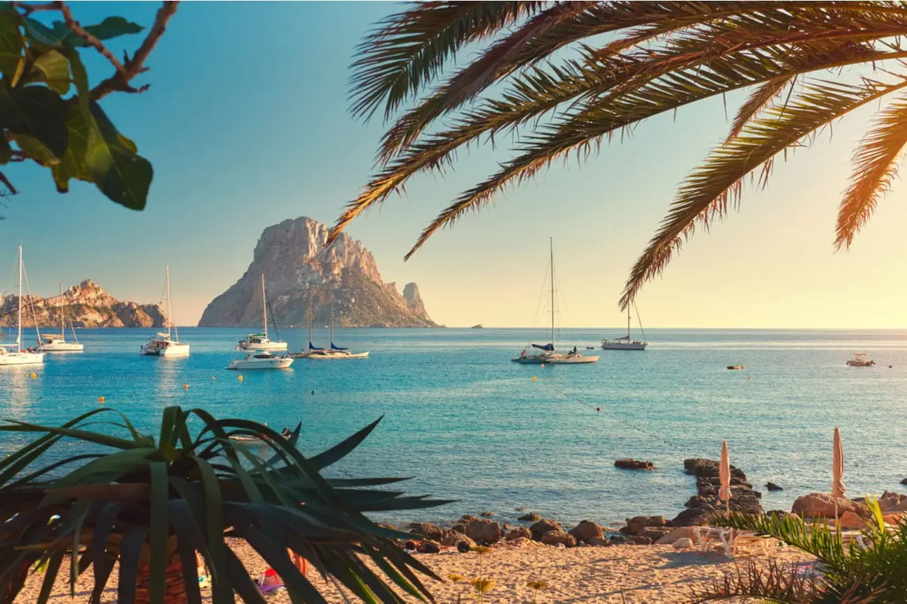 Ibiza-palmbomen