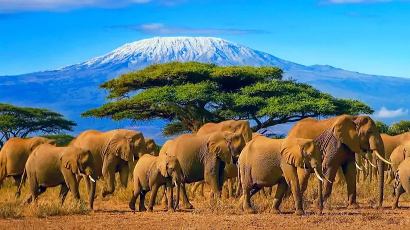 Kenia1