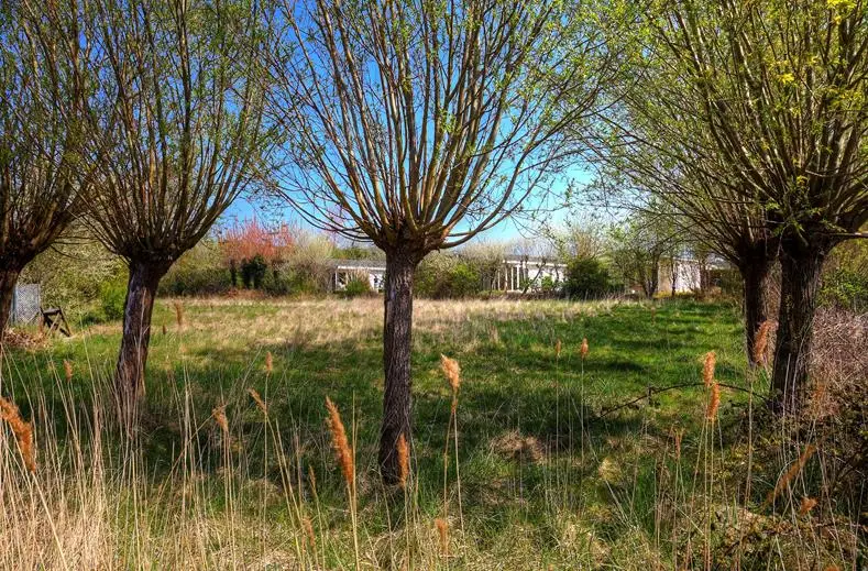 Droompark-Schoneveld-Breskens-TUI2