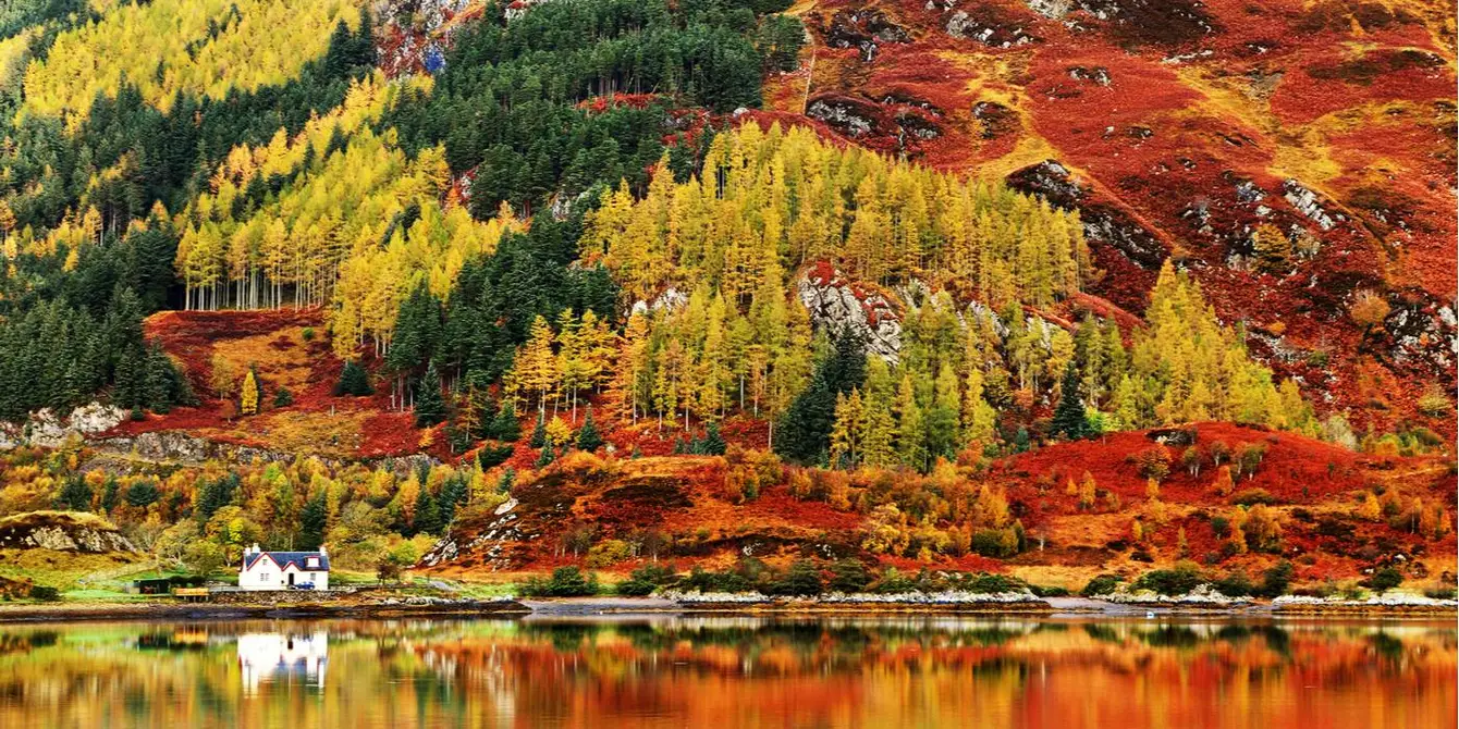 Schotse Hooglanden in herfstkleuren