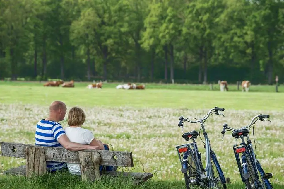 Veluwe-6