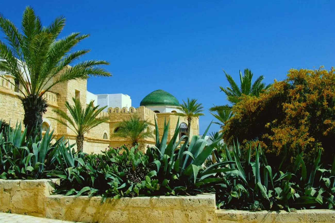 Medina_shutterstock4