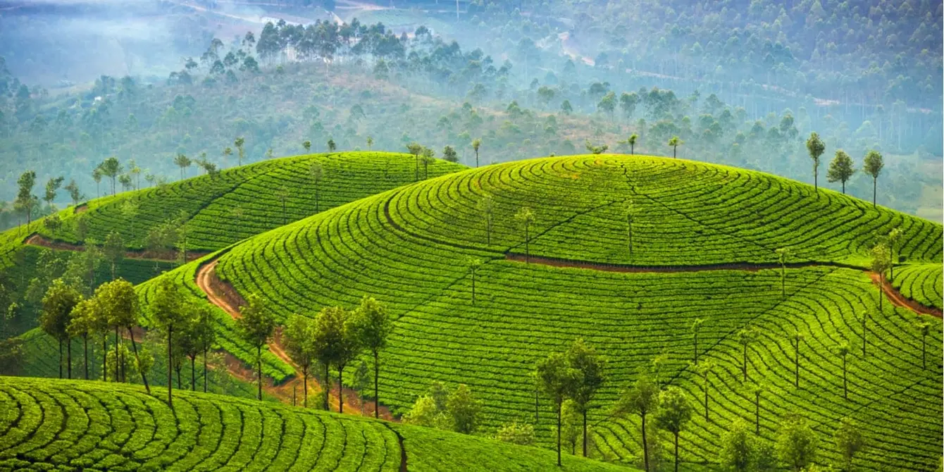Sri-Lanka-Header2