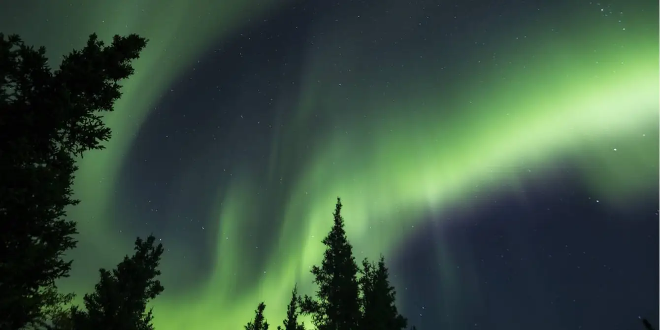 Denali National Park and Preserve, Alaska