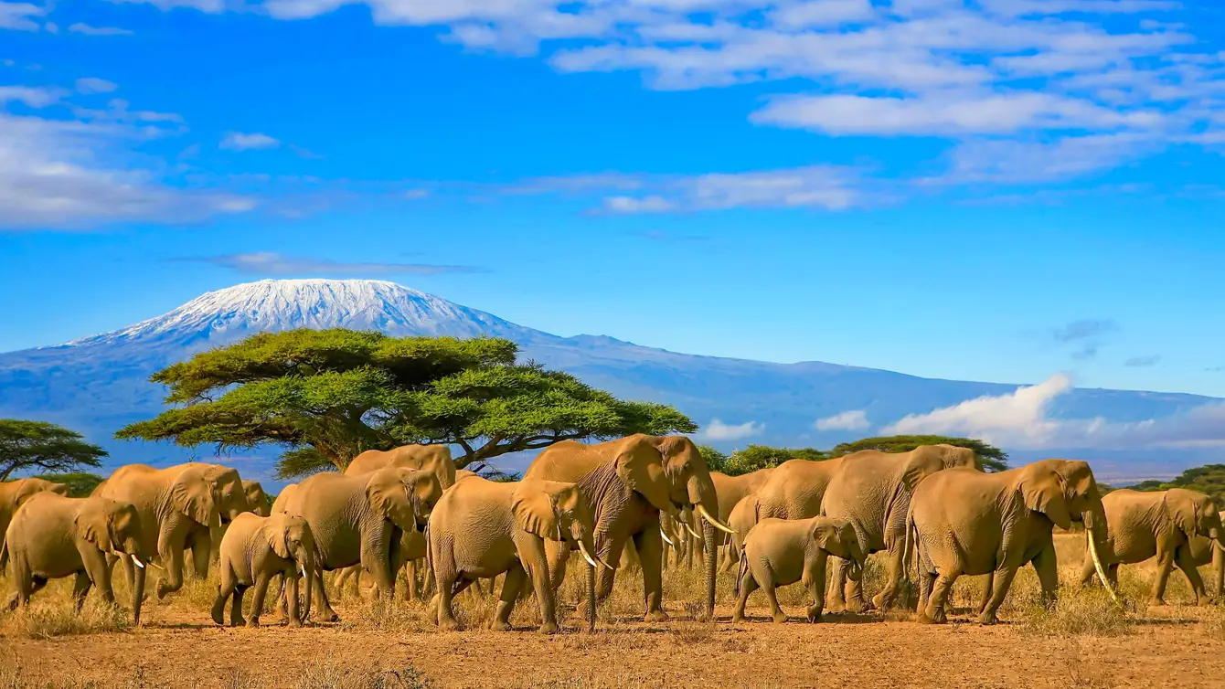 Vakantie Tanzania
