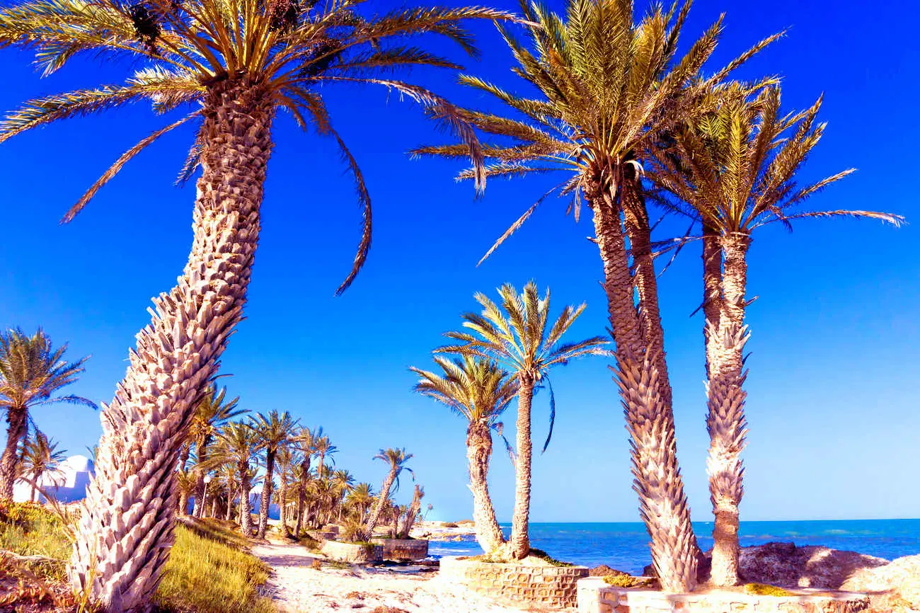 Djerba_tunsie_shutterstock3