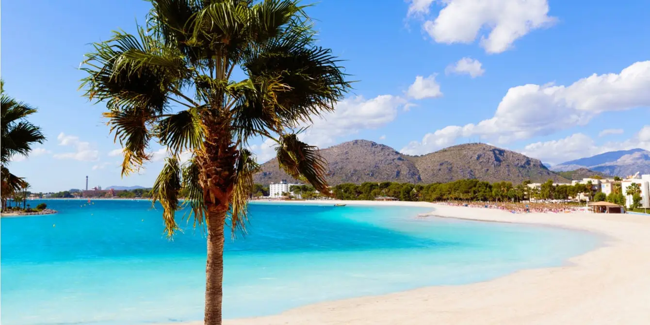 Header_alcudia_shutterstock
