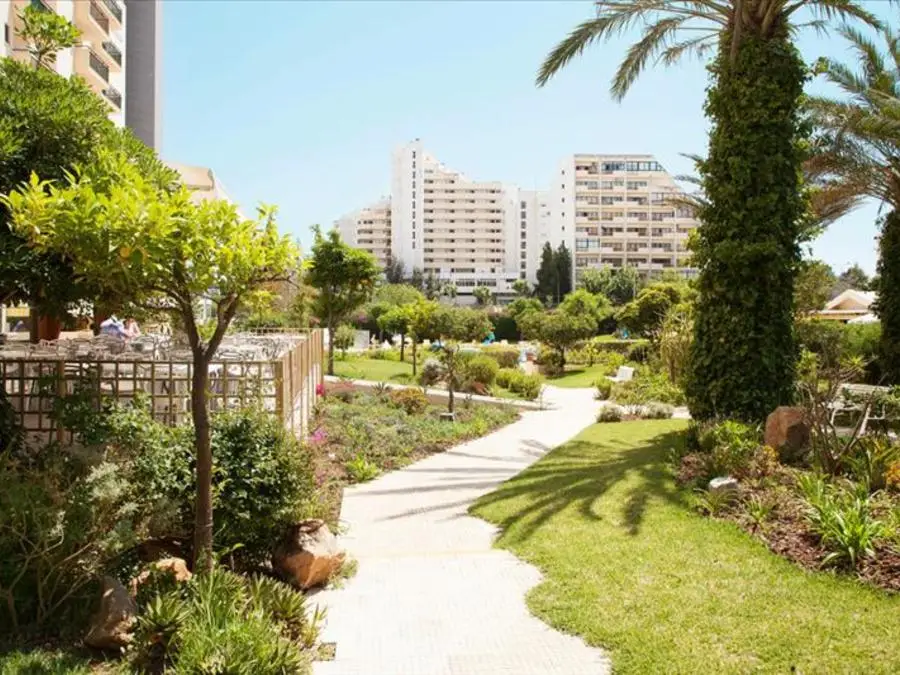 Smartline_amarilis_algarve_2