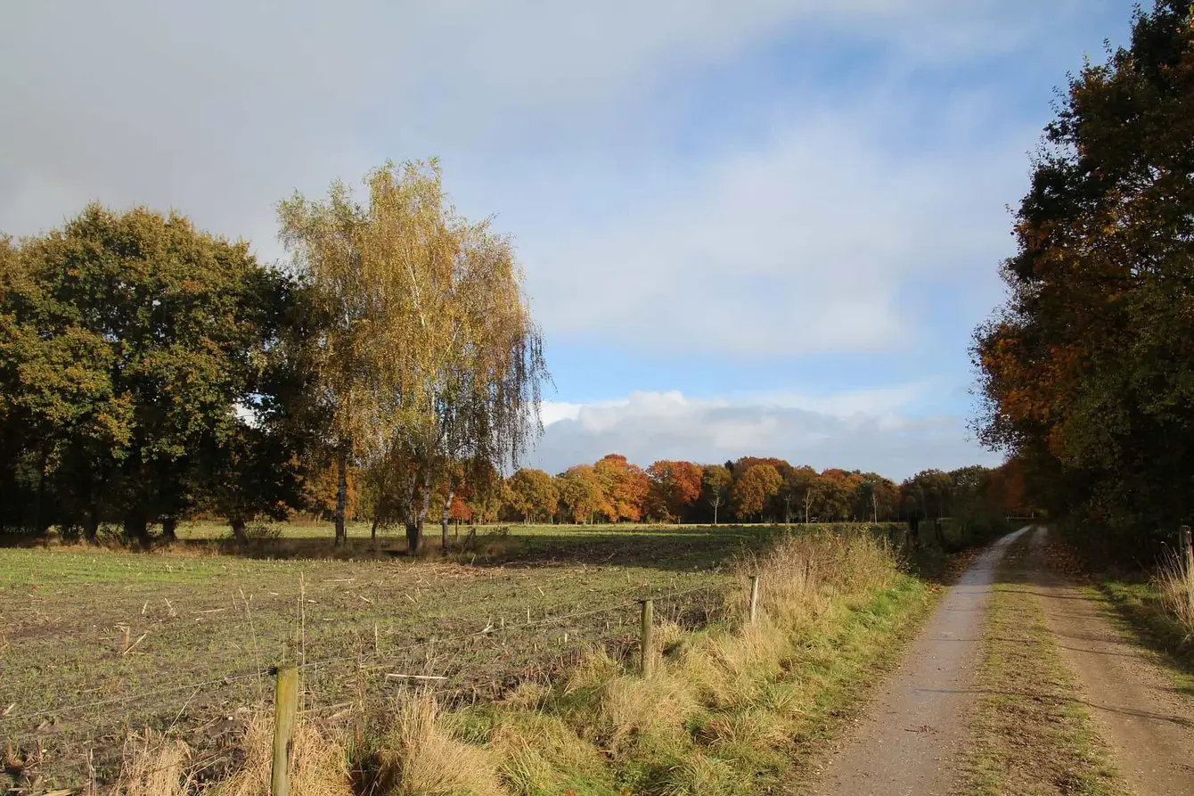 Veluwe-Pixabay4