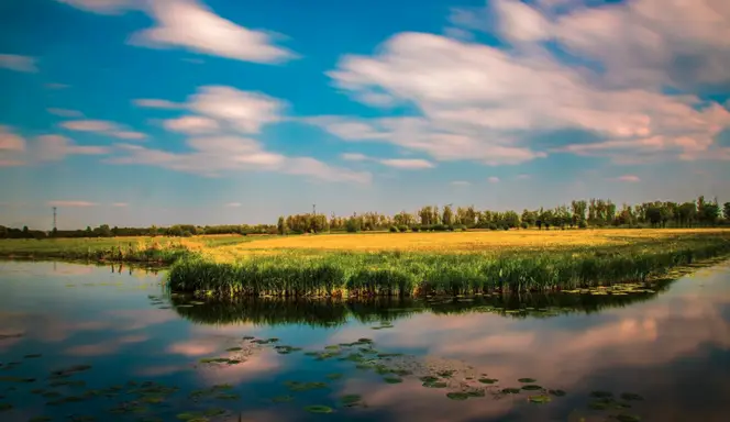 Hotel-t-trefpunt-Biesbosch-TravelDealNL2