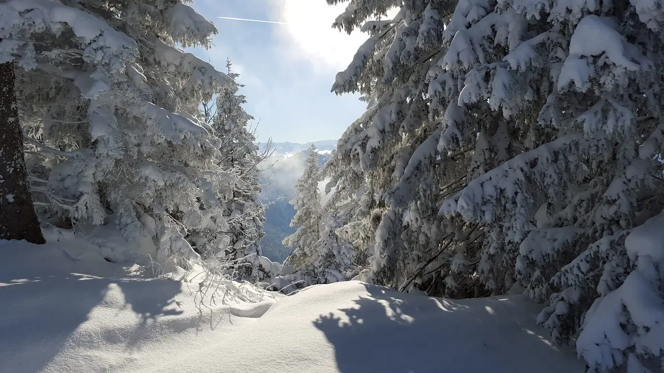 Ski-1156460_1920