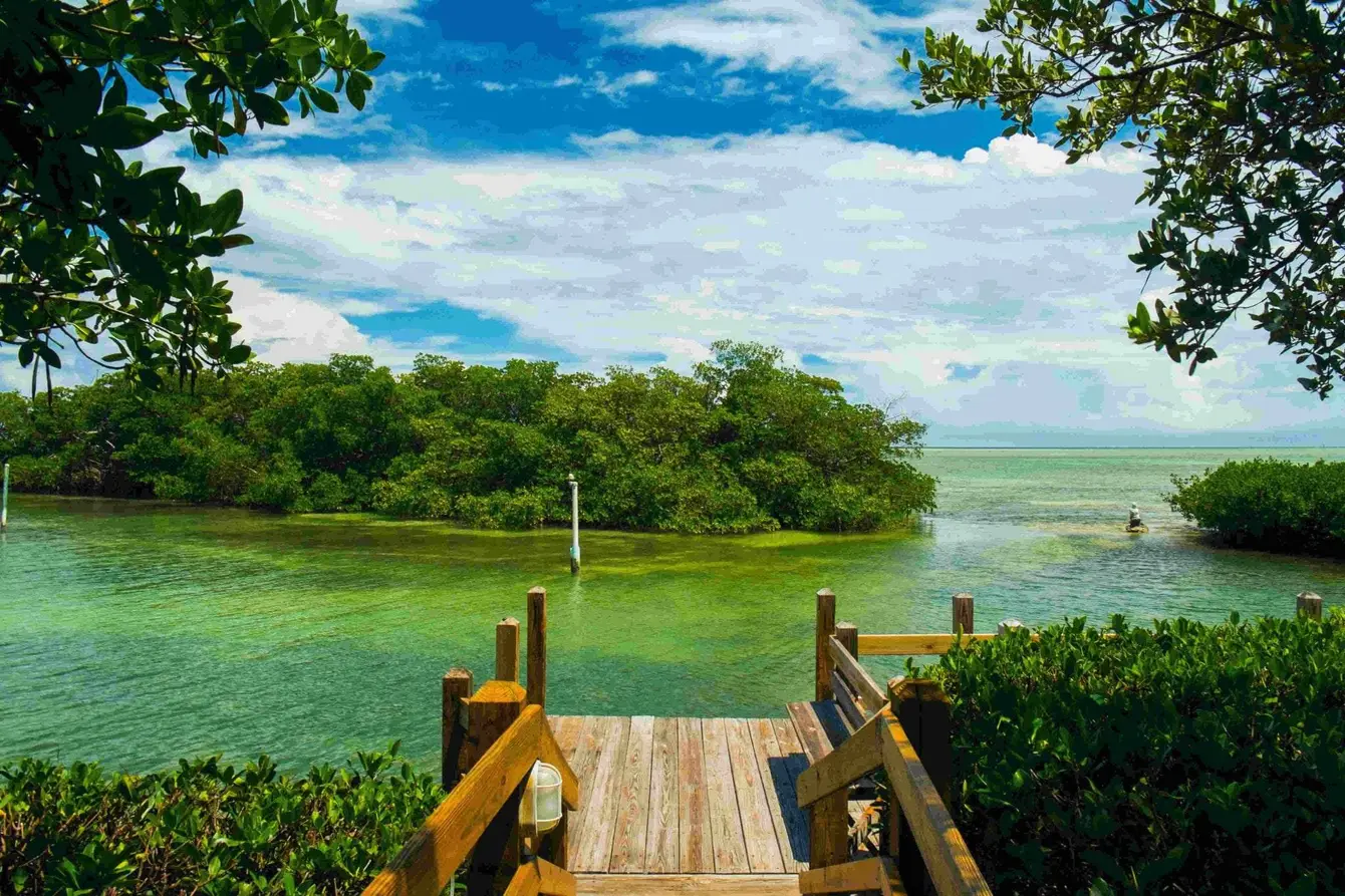 Gulf_coast_shutterstock1-scaled