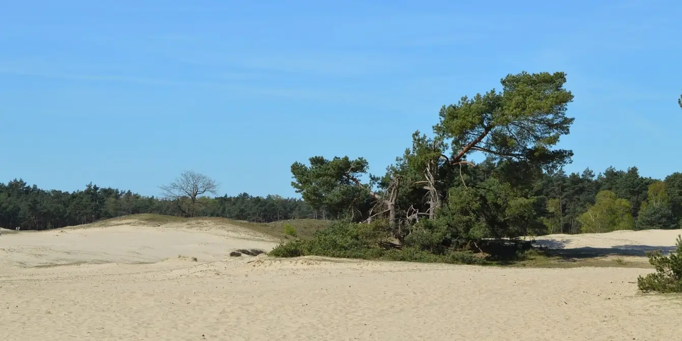 Weekendje-weg-op-de-Veluwe