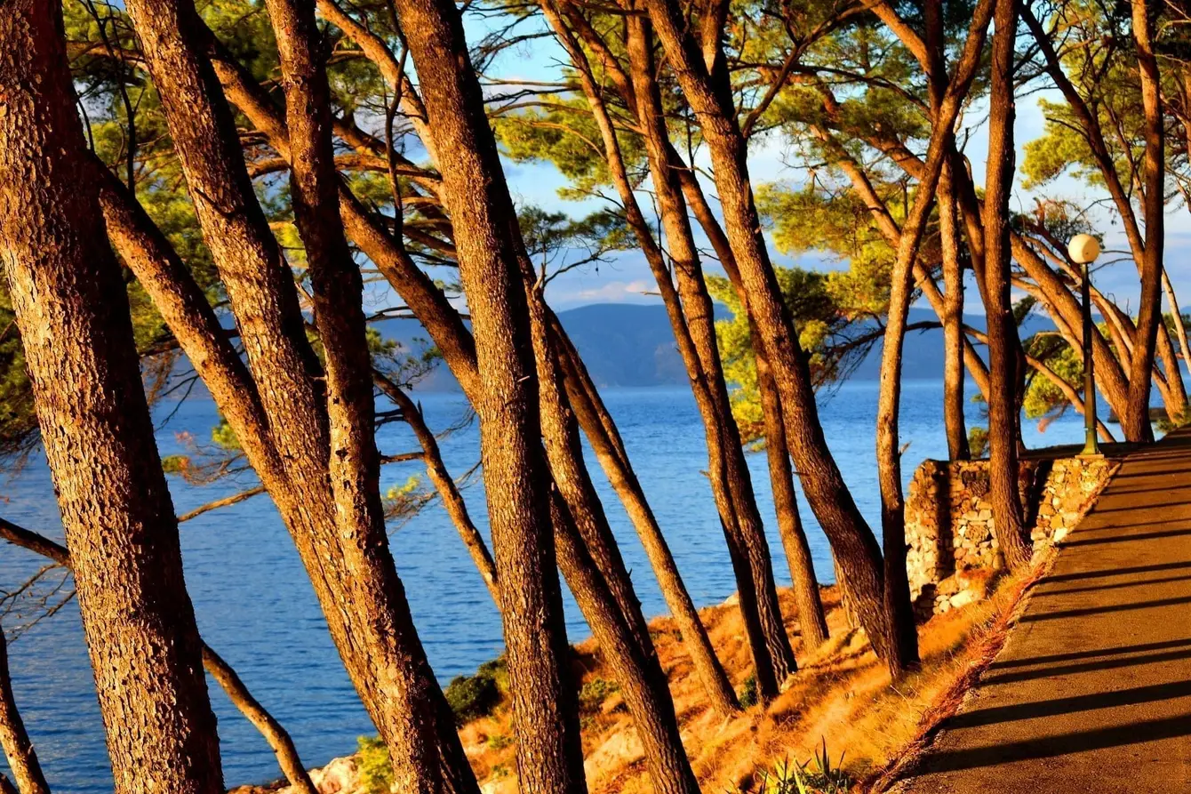 Istria-Kroatie1