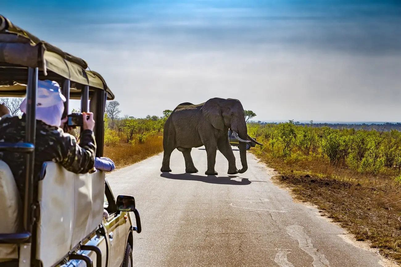 Zuid-Afrika-Shutterstock1
