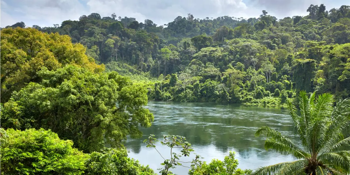 Suriname-Header-1-Shutterstock-1-goed