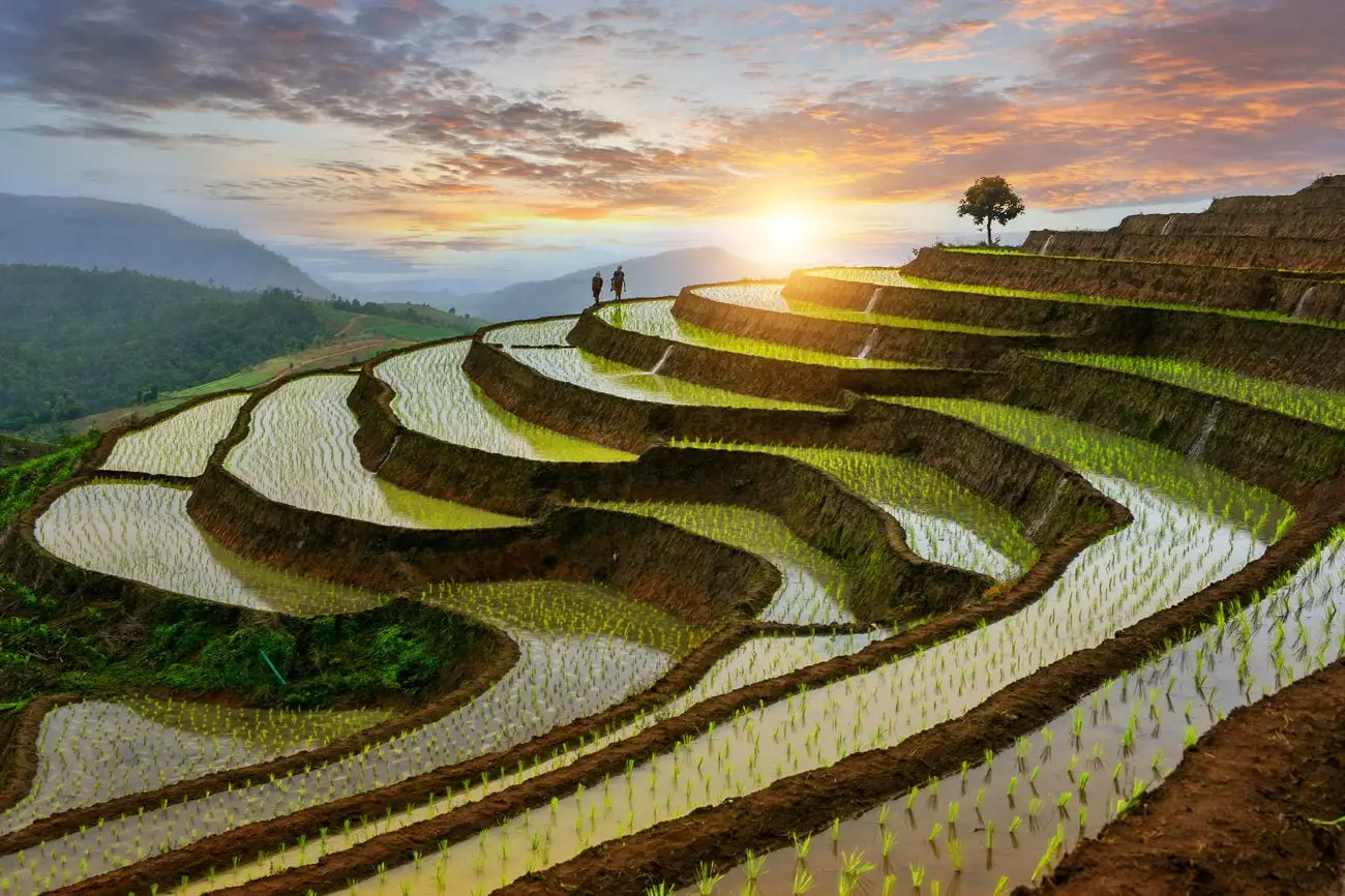Thailand-natuur