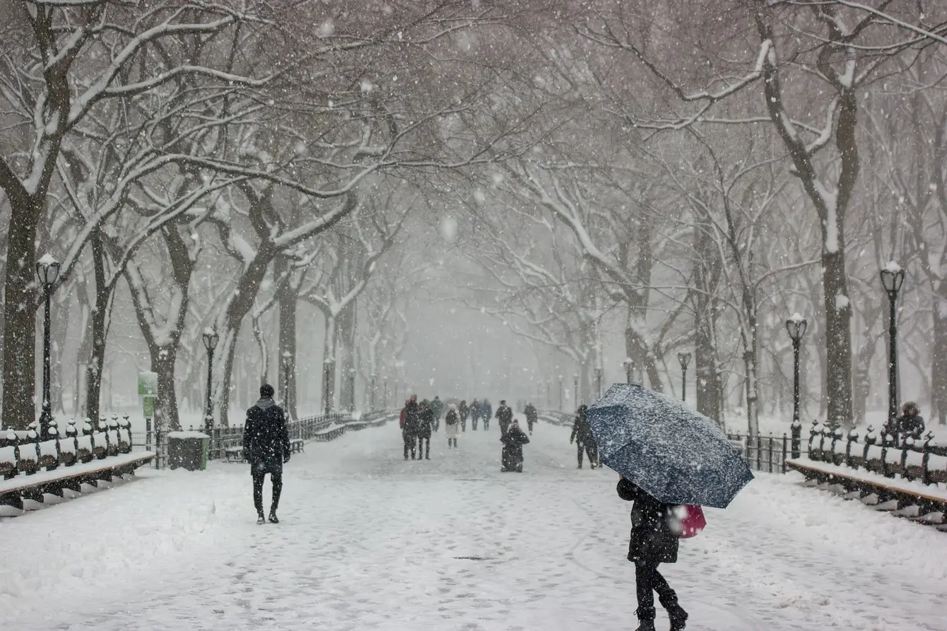 Winter-3772616_1920-1