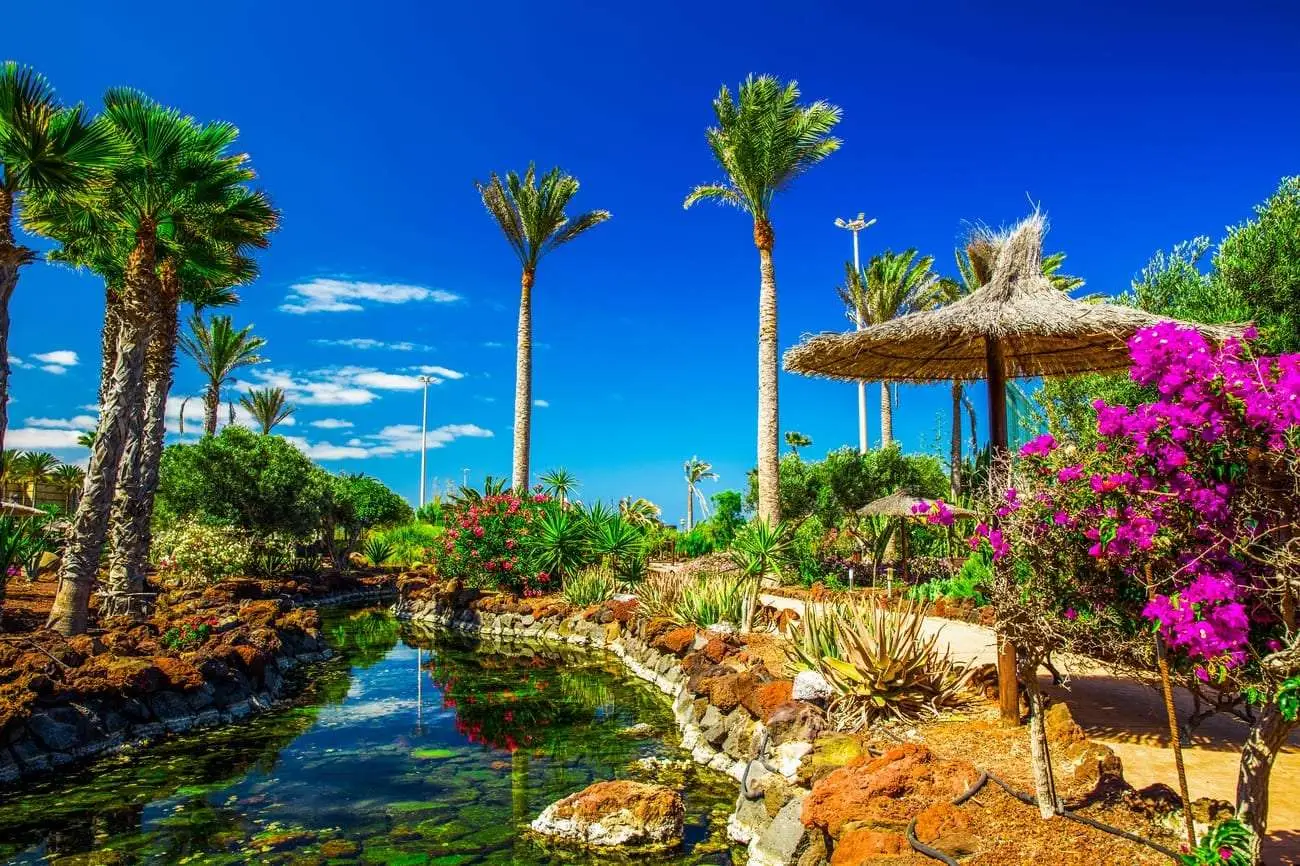Fuerteventura-Spanje-Shuttterstock1