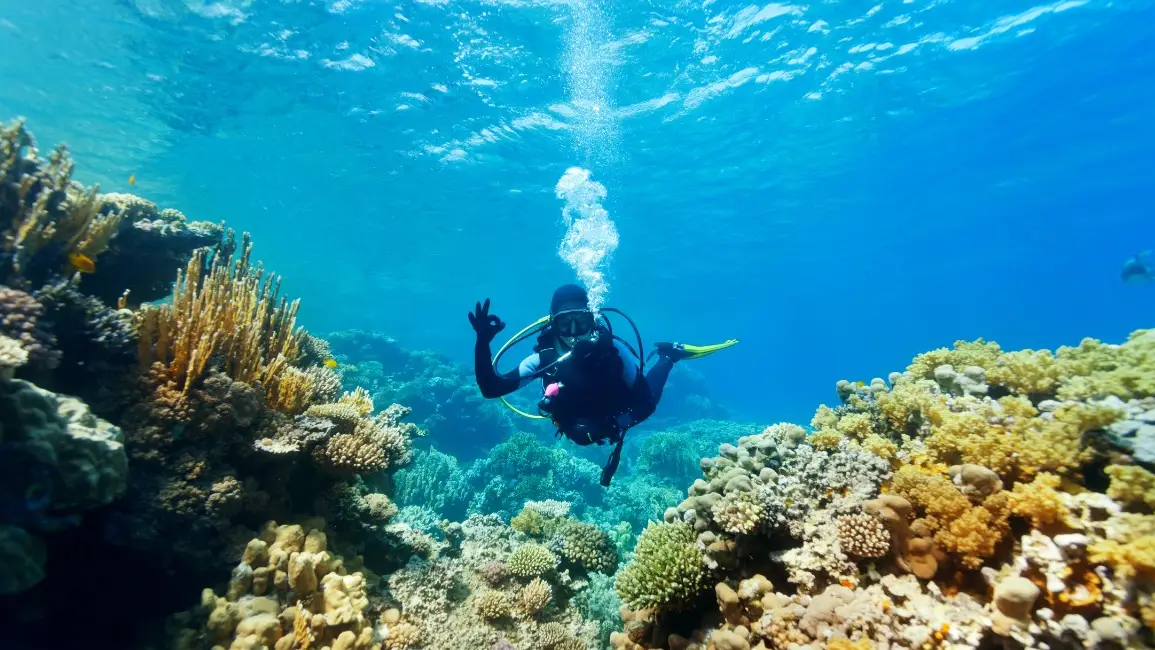 Malta: het duikparadijs van de Middellandse Zee