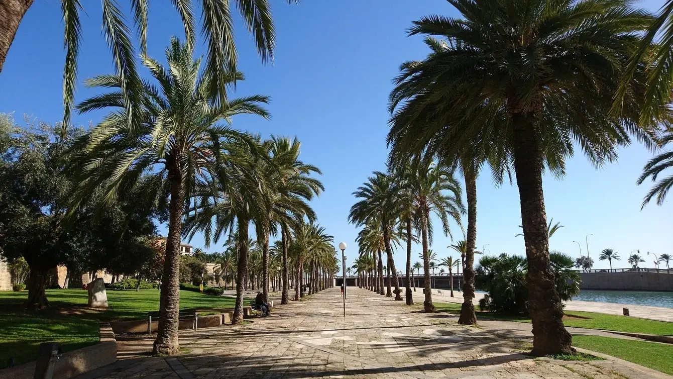 Palma-de-Mallorca-Spanje3