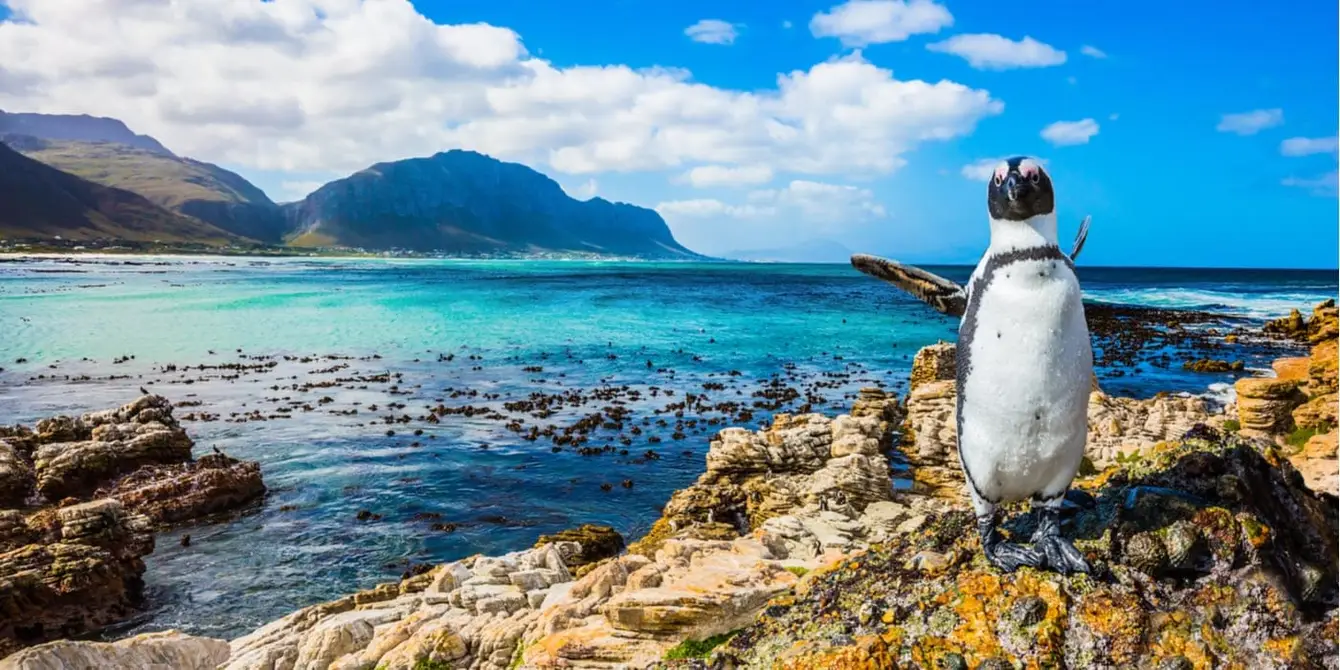 Zuid-Afrika-Shutterstock-Header1