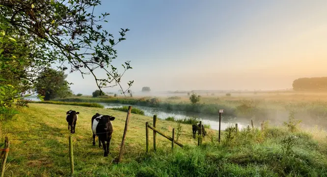 Papillon-Country-Resort-Denekamp-TravelDealNL