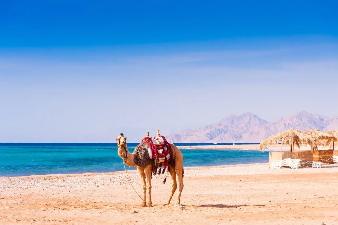 Hurghada-egypte-shutterstock-2