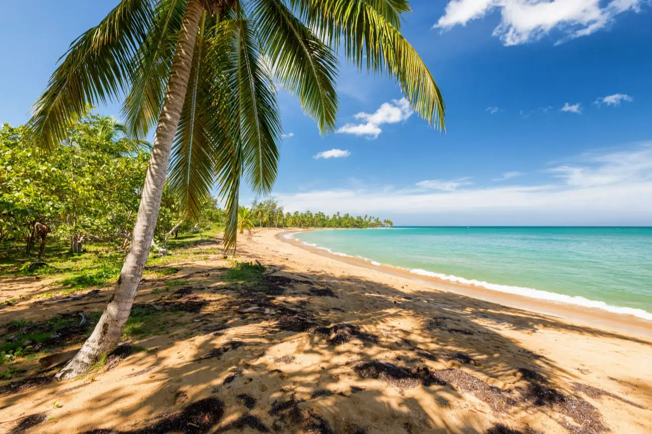 Coral-Costa-Caribe-Dominicaanse-Republiek-Shutterstock3