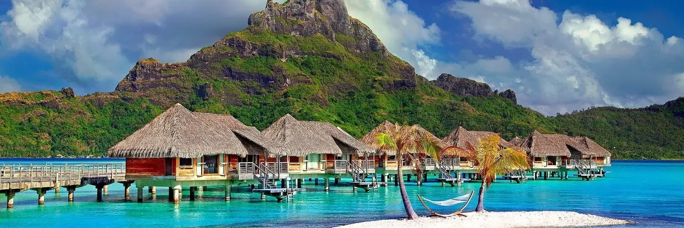 TC-Header-Image