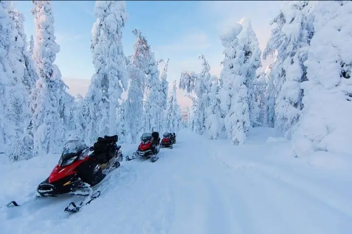 Lapland-niffo-1