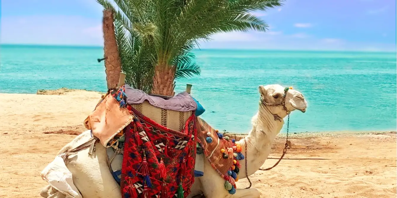 Marsa-Alam-Egypte