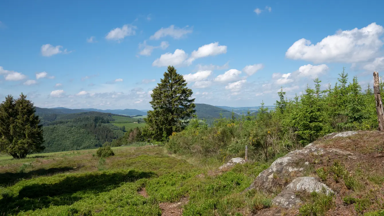 Weekendje weg Sauerland