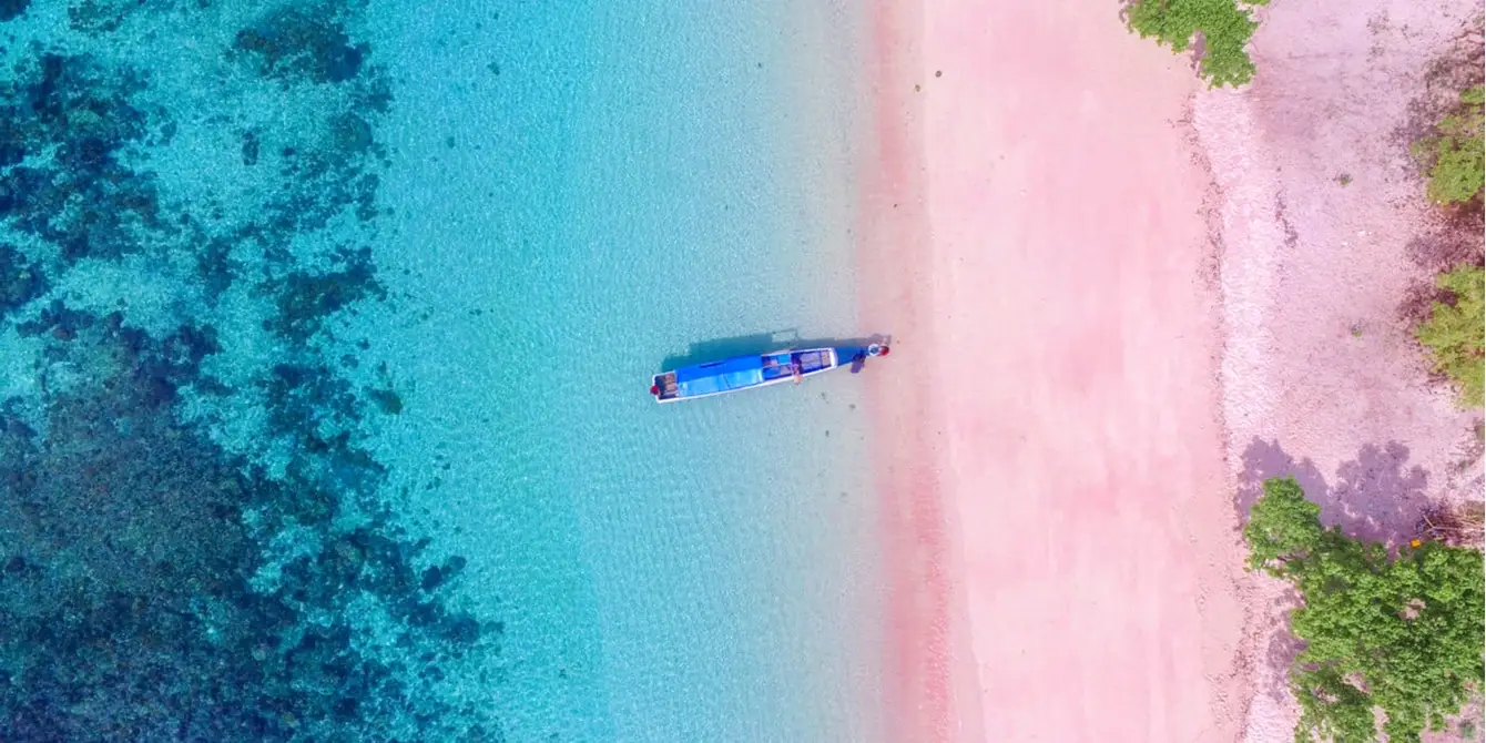 Roze strand in Komodo National Park Indonesië