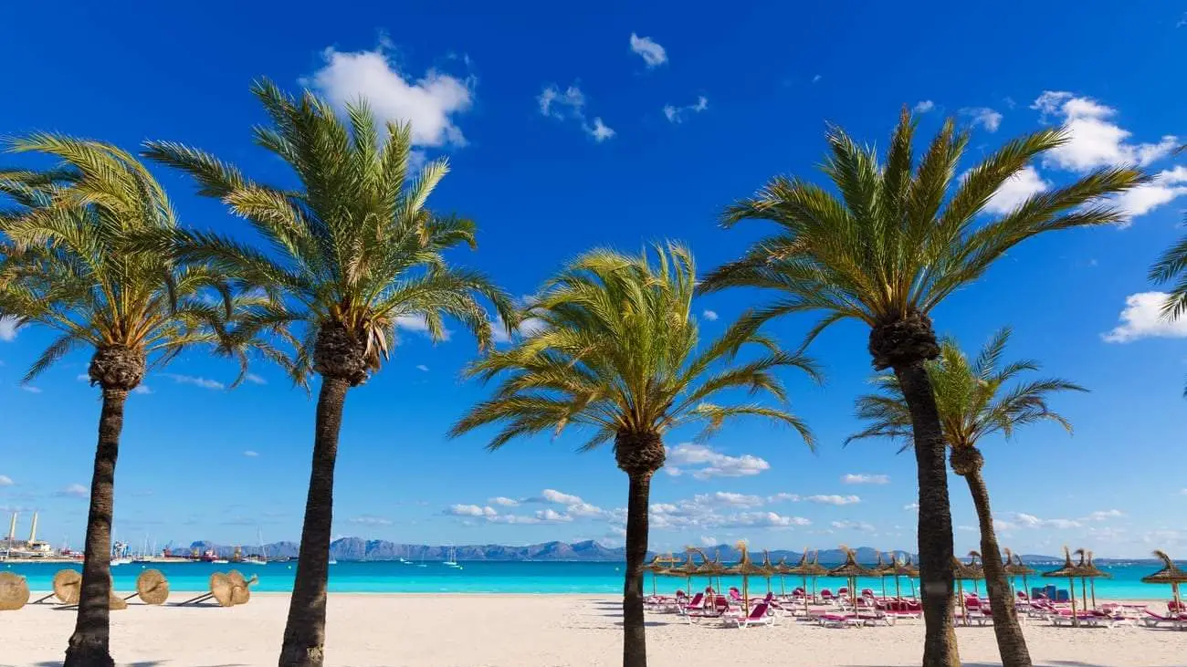 Alcudia-Mallorca-Spanje-Shutterstock1