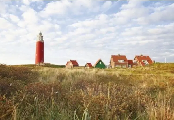 Texel-picca