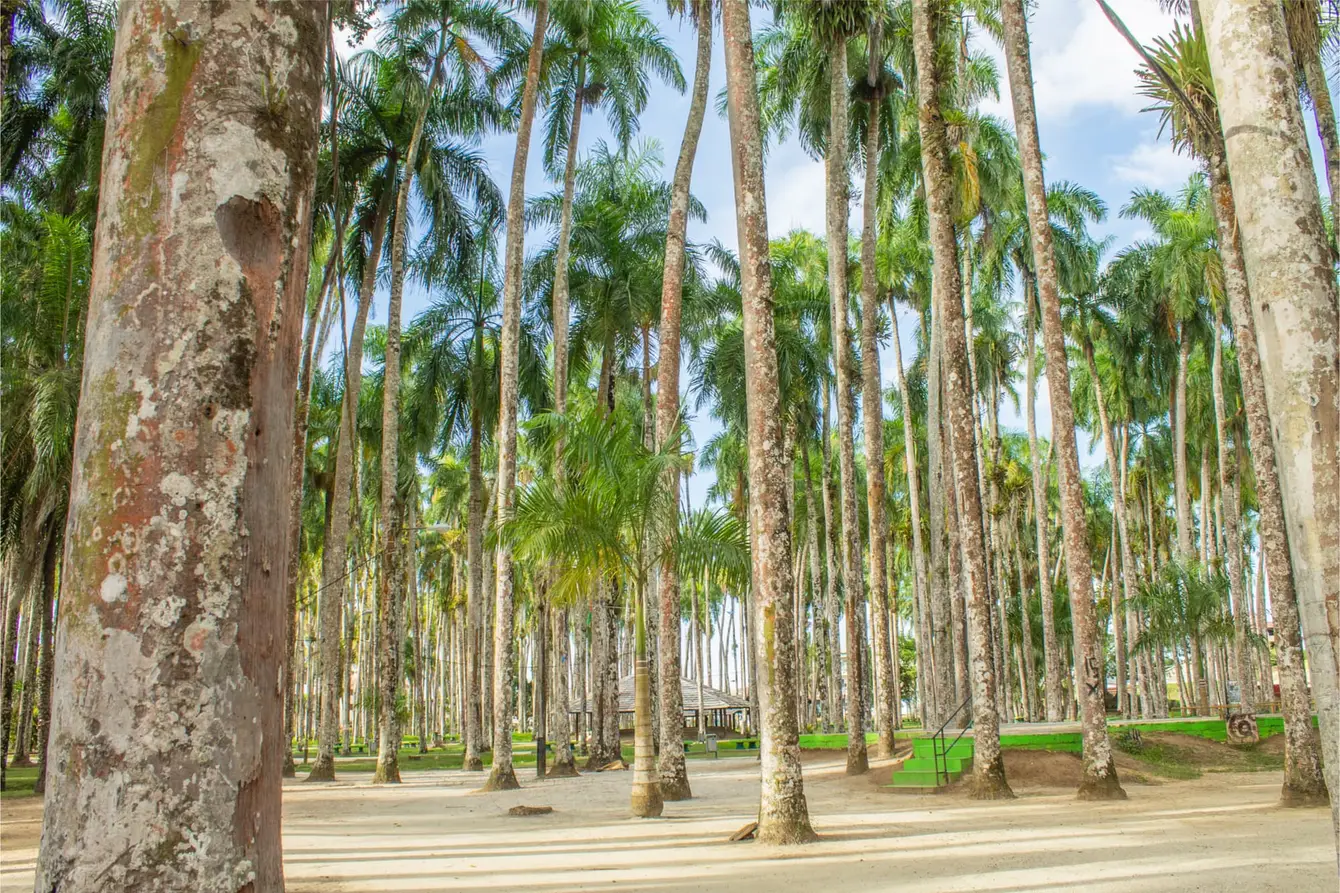 Paramaribo-suriname-1-shutterstock