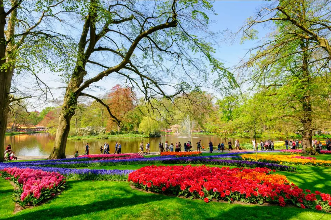 Tulpenvelden in de Keukenhof Nederland