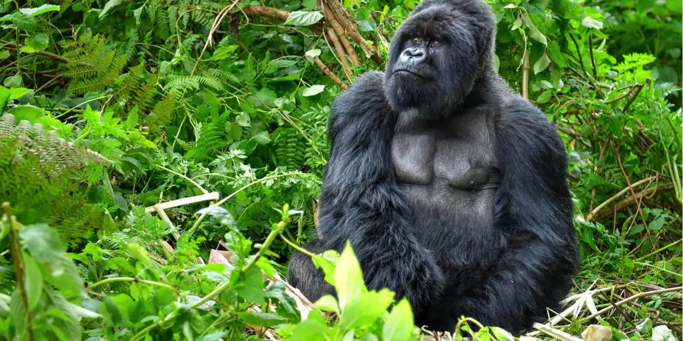Rwanda