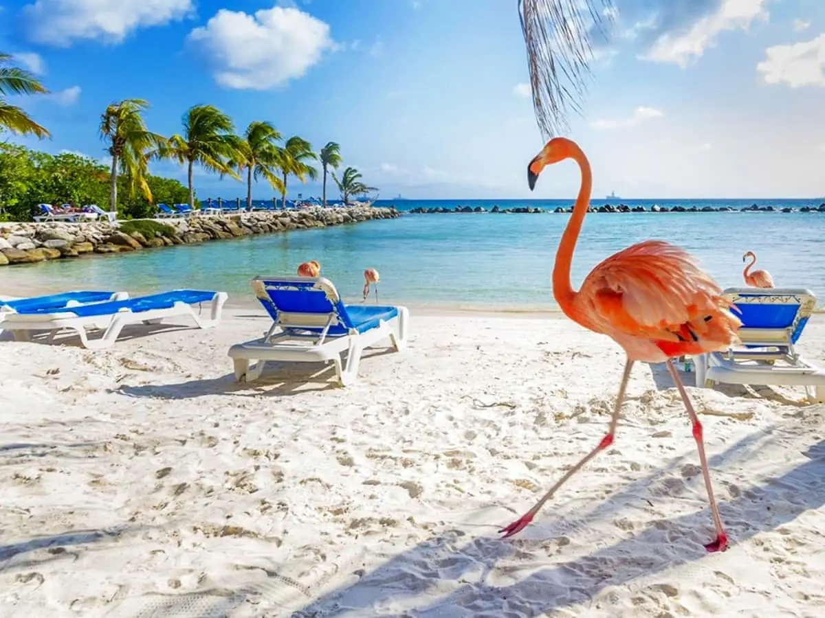 Aruba-holiday-nieuwsbrief1