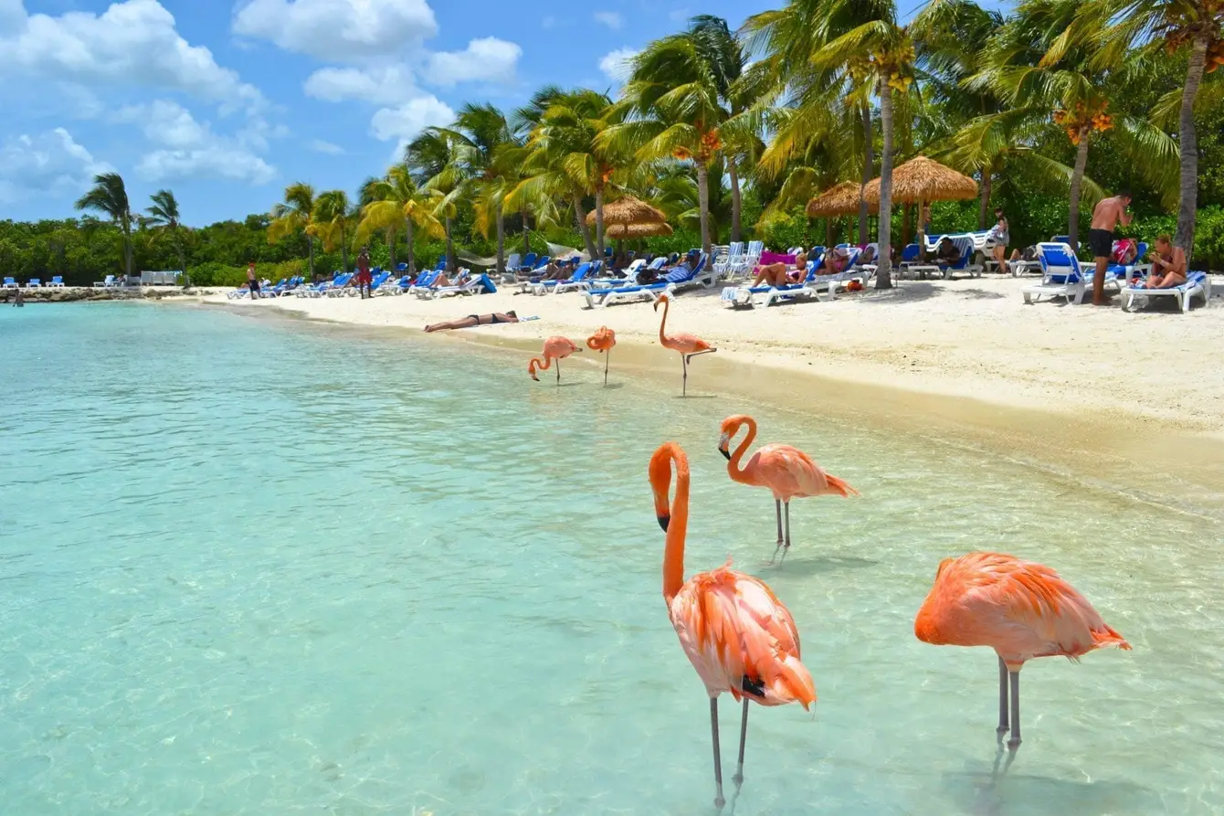 Aruba1